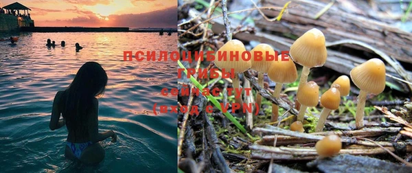 прущий лед Белокуриха