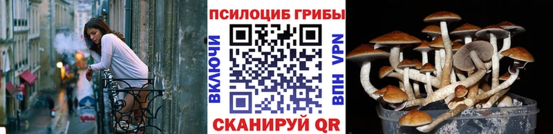 Псилоцибиновые грибы Magic Shrooms  Облучье 