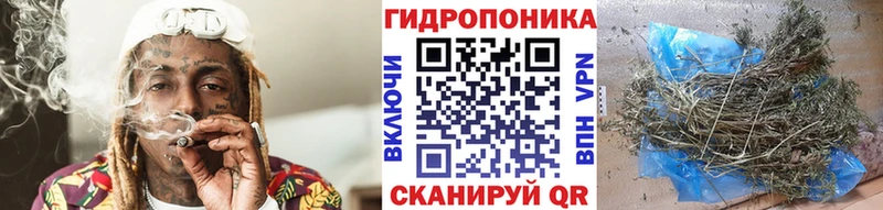 Каннабис планчик  Облучье 